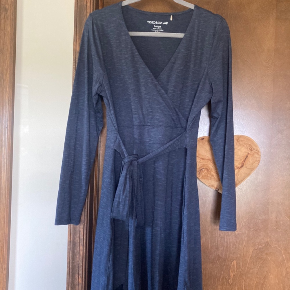 Toad & Co. Organic Cotton/Tencel  Dress - Picture 4 of 4